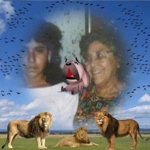 Meet your Posher, Edith